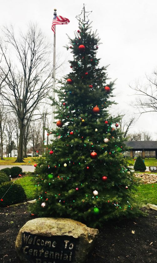 Salem parks chief hoping new year is a return to normal News, Sports, Jobs Salem News